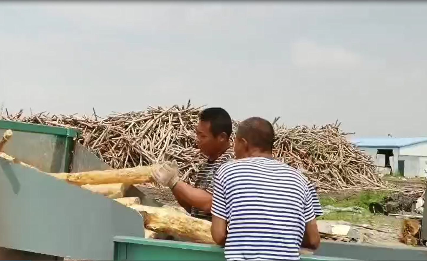 蚌埠浆纸纸业的各类净片加工